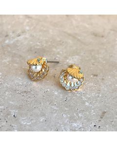 Pearl in Shell Stud Earrings - Gold