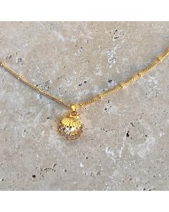 Pearl in Shell Necklace - Gold