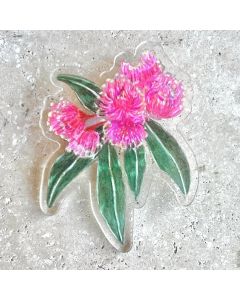 Gum Nut Artist Brooch - Acrylic