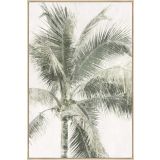 Two Palms Canvas Print 70x100