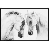 White Horses Canvas 80x120