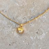 Pearl in Shell Necklace - Gold